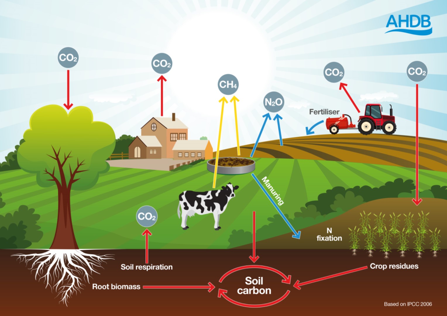 Illustration of the sources and sinks of greenhouse gases in agriculture